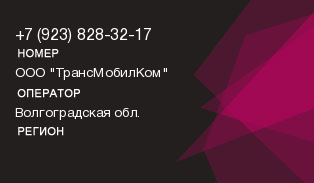 9238283217